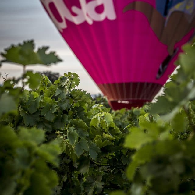 Les Ballons du Léman