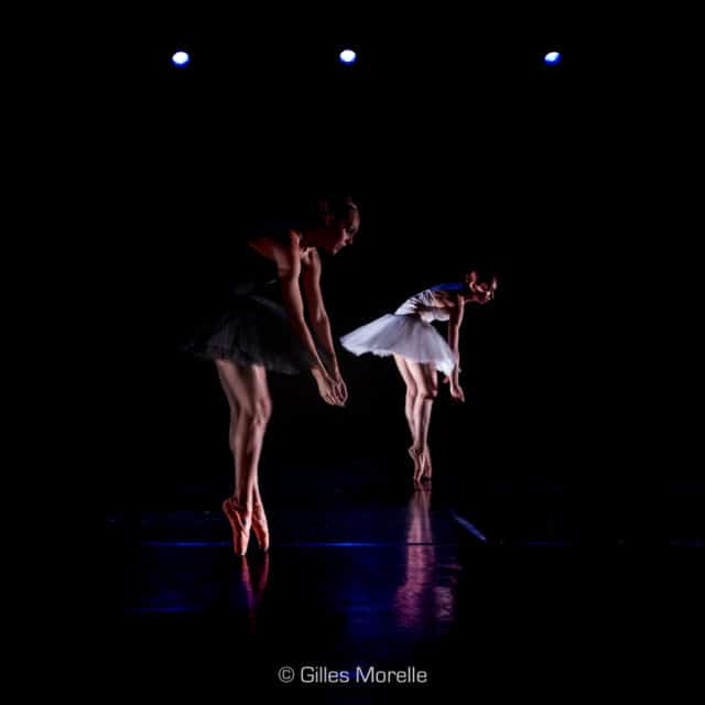 Swan Lake, le nouveau spectacle de la Cie Octavio de la Roza